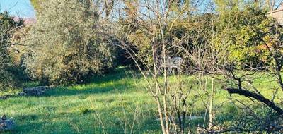 Terrain seul à Besse-sur-Issole en Var (83) de 480 m² à vendre au prix de 110000€ - 2