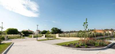 Programme terrain + maison à Baziège en Haute-Garonne (31) de 73 m² à vendre au prix de 247000€ - 4