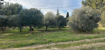 Programme terrain + maison à Saint-Chamas en Bouches-du-Rhône (13) de 80 m² à vendre au prix de 392000€ - 3