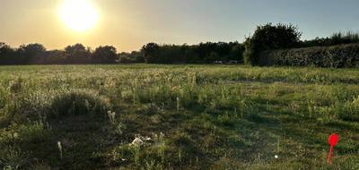 Programme terrain + maison à Joué-lès-Tours en Indre-et-Loire (37) de 90 m² à vendre au prix de 320000€ - 3