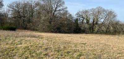 Terrain seul à Salignac-Eyvigues en Dordogne (24) de 1250 m² à vendre au prix de 25000€ - 2