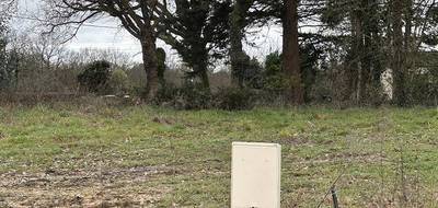 Programme terrain + maison à Chantonnay en Vendée (85) de 90 m² à vendre au prix de 186789€ - 4