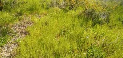 Terrain seul à Biganos en Gironde (33) de 600 m² à vendre au prix de 245000€ - 1