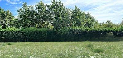 Programme terrain + maison à Pommeuse en Seine-et-Marne (77) de 124 m² à vendre au prix de 309570€ - 3