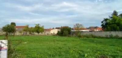 Terrain seul à Roost-Warendin en Nord (59) de 600 m² à vendre au prix de 59000€ - 1