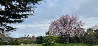 Terrain seul à Cognac en Charente (16) de 1300 m² à vendre au prix de 110500€ - 2