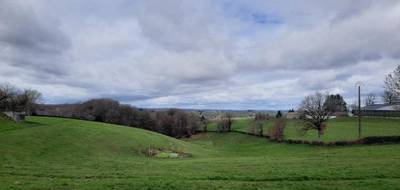 Terrain seul à Roannes-Saint-Mary en Cantal (15) de 1025 m² à vendre au prix de 24500€ - 3