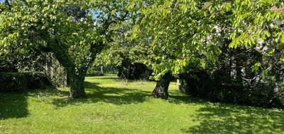 Programme terrain + maison à Irigny en Rhône (69) de 104 m² à vendre au prix de 565453€ - 3