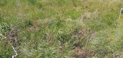 Terrain seul à Lanton en Gironde (33) de 558 m² à vendre au prix de 252000€ - 2