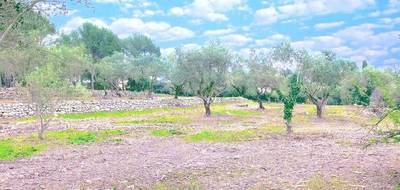 Programme terrain + maison à Bagnols-en-Forêt en Var (83) de 125 m² à vendre au prix de 519000€ - 4