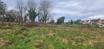 Terrain seul à Hochstatt en Haut-Rhin (68) de 446 m² à vendre au prix de 133800€ - 2
