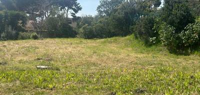 Terrain seul à Sausset-les-Pins en Bouches-du-Rhône (13) de 958 m² à vendre au prix de 750000€ - 3