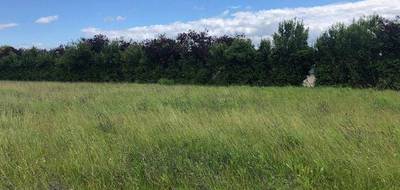 Programme terrain + maison à Nazelles-Négron en Indre-et-Loire (37) de 82 m² à vendre au prix de 281990€ - 4
