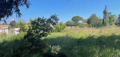 Terrain seul à Pélissanne en Bouches-du-Rhône (13) de 856 m² à vendre au prix de 300000€ - 1