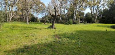 Terrain seul à La Cadière-d'Azur en Var (83) de 2000 m² à vendre au prix de 590000€ - 1