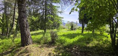 Terrain seul à Tourrette-Levens en Alpes-Maritimes (06) de 1000 m² à vendre au prix de 295000€ - 4