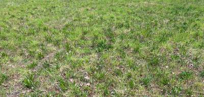 Terrain seul à Carlux en Dordogne (24) de 1640 m² à vendre au prix de 35000€ - 2