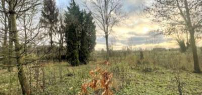 Terrain seul à Lorgies en Pas-de-Calais (62) de 535 m² à vendre au prix de 98000€ - 2