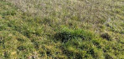 Programme terrain + maison à Coulombiers en Vienne (86) de 89 m² à vendre au prix de 171920€ - 4