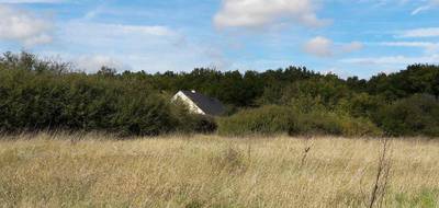 Programme terrain + maison à Neuillé-Pont-Pierre en Indre-et-Loire (37) de 110 m² à vendre au prix de 260000€ - 3