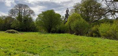 Terrain seul à Bonnac-la-Côte en Haute-Vienne (87) de 2264 m² à vendre au prix de 53000€ - 2