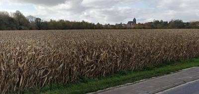 Terrain seul à Beuvry en Pas-de-Calais (62) de 536 m² à vendre au prix de 56000€ - 3