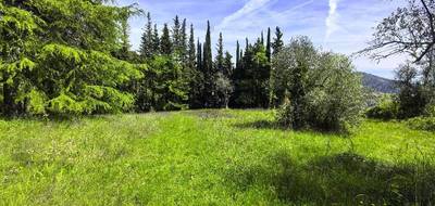 Terrain seul à Tourrette-Levens en Alpes-Maritimes (06) de 1000 m² à vendre au prix de 295000€ - 1