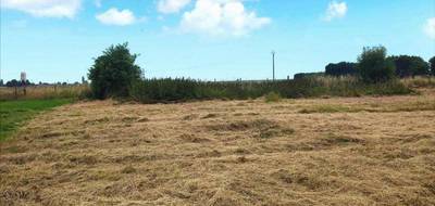 Programme terrain + maison à Surtauville en Eure (27) de 99 m² à vendre au prix de 229400€ - 3