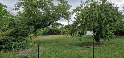 Programme terrain + maison à Brie-Comte-Robert en Seine-et-Marne (77) de 120 m² à vendre au prix de 350000€ - 3