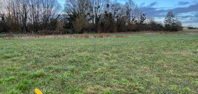 Programme terrain + maison à Savigné-l'Évêque en Sarthe (72) de 125 m² à vendre au prix de 280000€ - 3