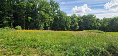 Terrain seul à Vy-lès-Filain en Haute-Saône (70) de 1044 m² à vendre au prix de 0€ - 2