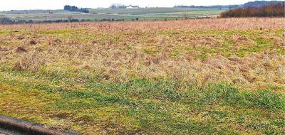 Terrain seul à Haucourt-Moulaine en Meurthe-et-Moselle (54) de 507 m² à vendre au prix de 147500€ - 2