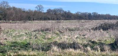 Terrain seul à Pont-l'Abbé-d'Arnoult en Charente-Maritime (17) de 528 m² à vendre au prix de 67255€ - 1