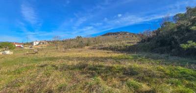 Terrain seul à Bédarieux en Hérault (34) de 1200 m² à vendre au prix de 99500€ - 3