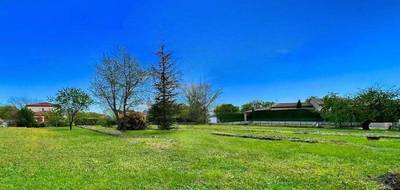 Terrain seul à Saint-Cézaire-sur-Siagne en Alpes-Maritimes (06) de 1196 m² à vendre au prix de 220000€ - 2