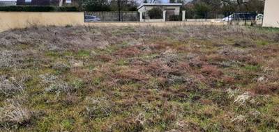 Terrain seul à Saint-Vrain en Essonne (91) de 372 m² à vendre au prix de 154900€ - 1