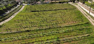 Terrain seul à Cotignac en Var (83) de 1260 m² à vendre au prix de 197000€ - 1