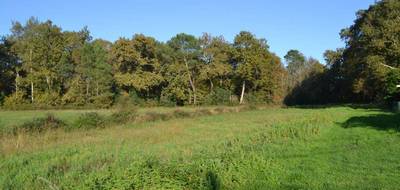 Terrain seul à Salles en Gironde (33) de 3200 m² à vendre au prix de 180000€ - 2