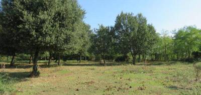 Terrain seul à Montignargues en Gard (30) de 257 m² à vendre au prix de 74900€ - 2