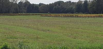 Terrain seul à Saint-Savin en Gironde (33) de 540 m² à vendre au prix de 44000€ - 1