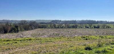 Terrain seul à Port-en-Bessin-Huppain en Calvados (14) de 503 m² à vendre au prix de 85000€ - 1