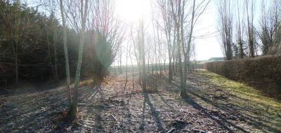 Terrain seul à Châtillon-sur-Morin en Marne (51) de 1591 m² à vendre au prix de 50000€ - 1