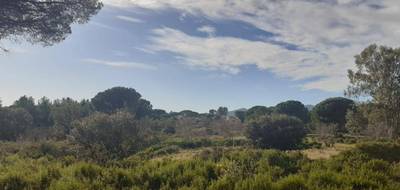 Terrain seul à Puget-sur-Argens en Var (83) de 656 m² à vendre au prix de 280000€ - 2