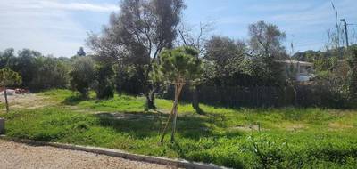 Terrain seul à Hyères en Var (83) de 850 m² à vendre au prix de 850000€ - 2