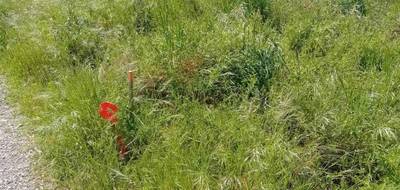 Terrain seul à Villandraut en Gironde (33) de 982 m² à vendre au prix de 78000€ - 3
