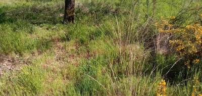 Terrain seul à Audenge en Gironde (33) de 468 m² à vendre au prix de 180600€ - 3