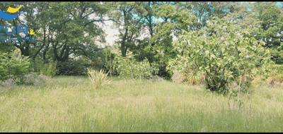 Terrain seul à Alleins en Bouches-du-Rhône (13) de 867 m² à vendre au prix de 235000€ - 3