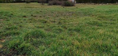 Programme terrain + maison à Garéoult en Var (83) de 80 m² à vendre au prix de 349000€ - 4