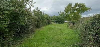 Programme terrain + maison à Cassagnabère-Tournas en Haute-Garonne (31) de 186 m² à vendre au prix de 416000€ - 4
