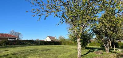 Terrain seul à Aurillac en Cantal (15) de 1500 m² à vendre au prix de 44250€ - 3